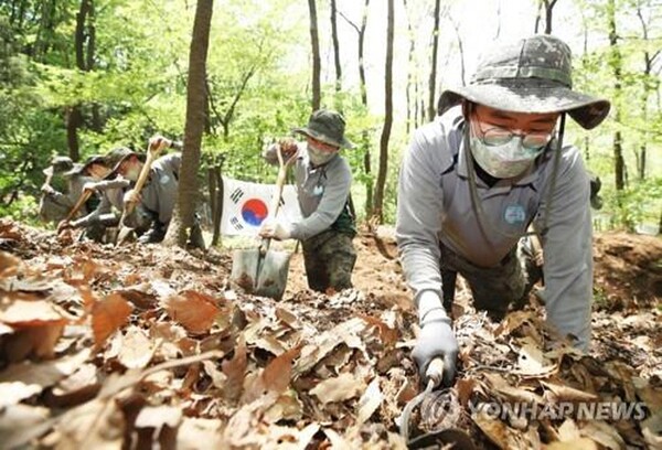 2019년 5월 1일 오후 경기도 의왕시 모락산에서 육군 51사단 장병들이 유해발굴 작업을 하고 있다. [사진=연합뉴스]